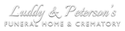 link logo